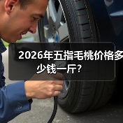2026年五指毛桃价格多少钱一斤?(图4) 2026年五指毛桃价格多少钱一斤?(图4)