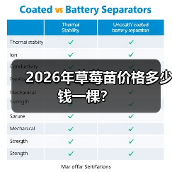 2026年草莓苗价格多少钱一棵?(图3) 2026年草莓苗价格多少钱一棵?(图3)