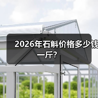 2026年石斛价格多少钱一斤?(图3) 2026年石斛价格多少钱一斤?(图3)