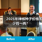 2026年辣椒种子价格多少钱一两？