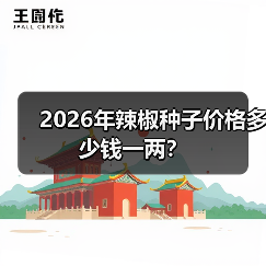 2026年辣椒种子价格多少钱一两?(图3) 2026年辣椒种子价格多少钱一两?(图3)