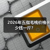 2026年五指毛桃价格多少钱一斤?(图4) 2026年五指毛桃价格多少钱一斤?(图4)